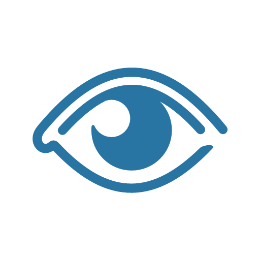 Toggle Password Visibility
